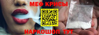 стаф Гатчина