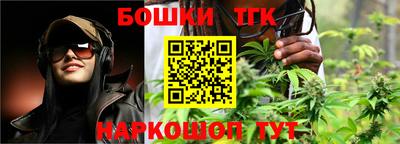 стаф Гатчина