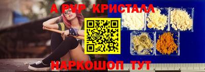 стаф Гатчина