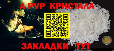 стаф Гатчина