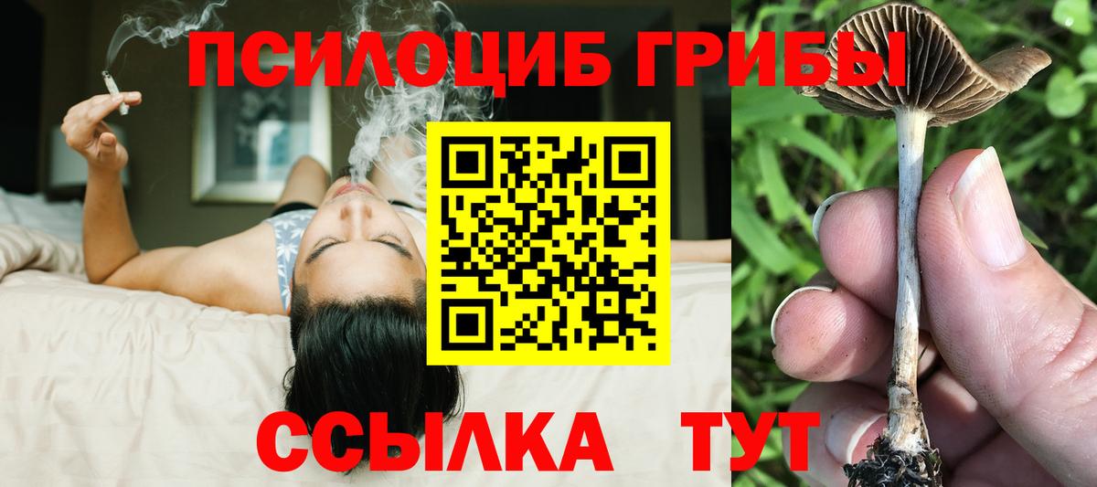 Галлюциногенные грибы Psilocybine cubensis Орехово-Зуево